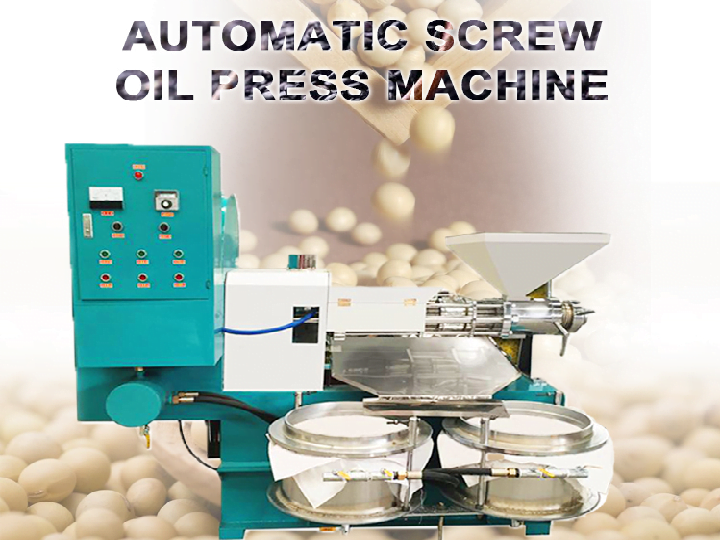 Screw oil press machine