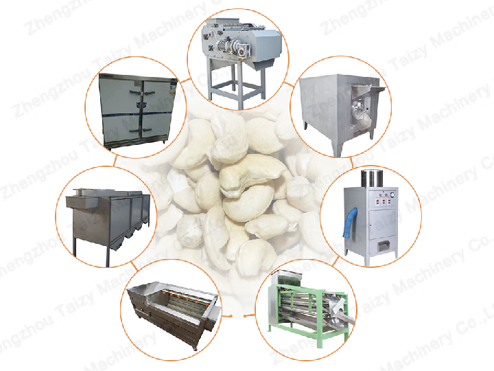 Processing of cashew nuts